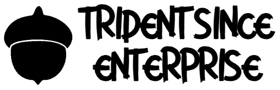 tridentsince.com